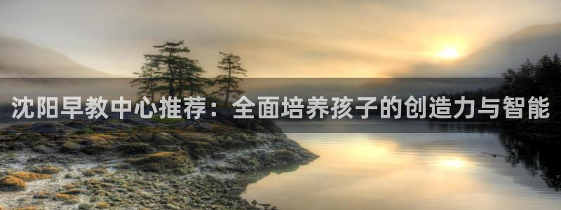 天顺娱乐扣53553:沈阳早教中心推荐:全面培养孩子的创造力与智能
