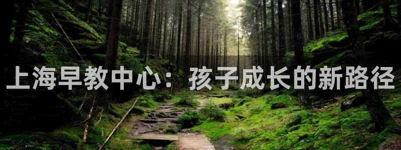 天顺娱乐胸72182:上海早教中心:孩子成长的新路径