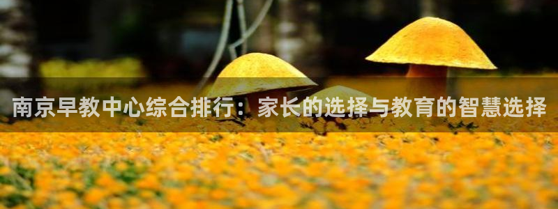 汝城天顺娱乐怎么样呀:南京早教中心综合排行:家长的选择与教育的智慧选择